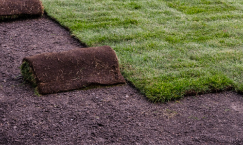 Screenshot 2026-01-26 135808