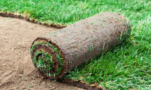 Screenshot 2026-01-26 174942