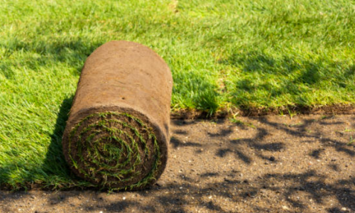 Screenshot 2026-01-26 175217